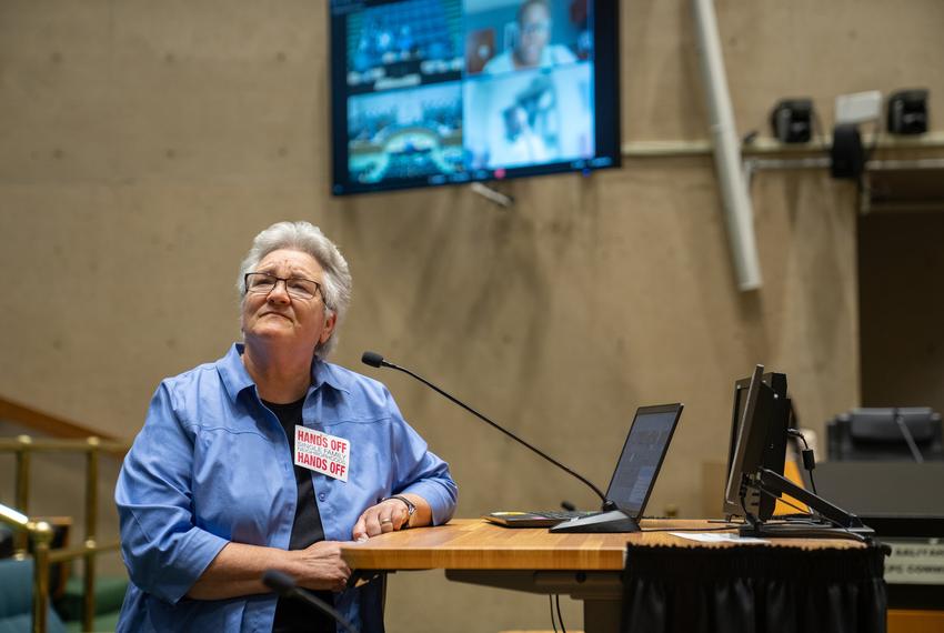 Melanie Vanlandingham speaks at a City Plan Commission meeting discussing the Forward Dallas plan at Dallas City Hall on July 11, 2024.